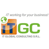 IT GLOBAL CONSULTING SRL