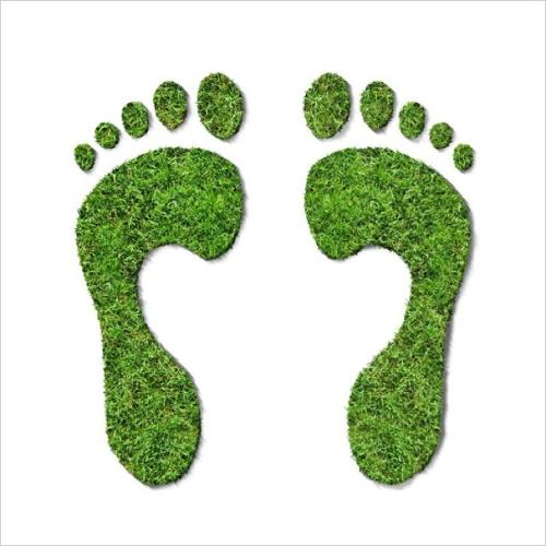 Certificazione Carbon Footprint