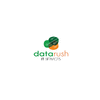 DATARUSH IT SERVICES