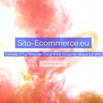 Siti web e-commerce e Web Marketing