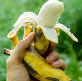 Banana Cavendish fresca